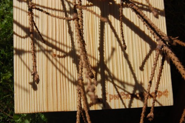 sl_02_600x400 sl_02_600x400